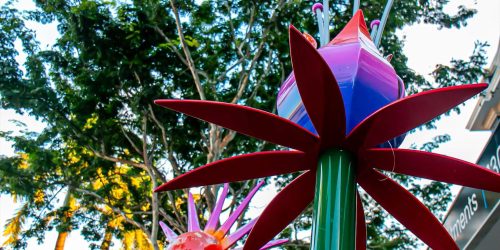 mackay-walking-tour-ft mackay-walking-tour-ft